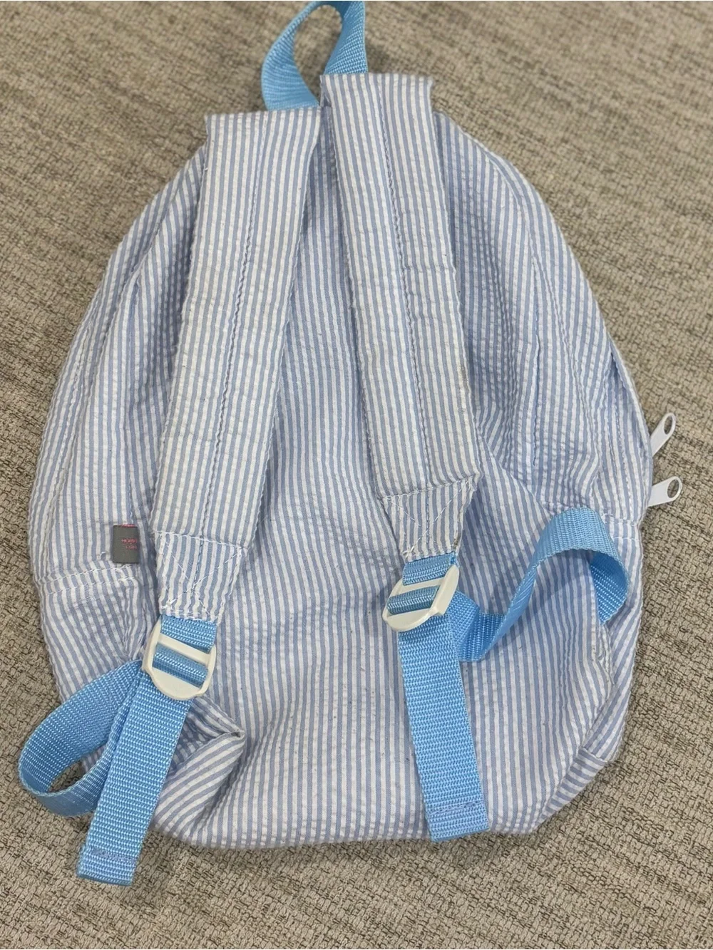 Hudson mint Light Blue Backpack
